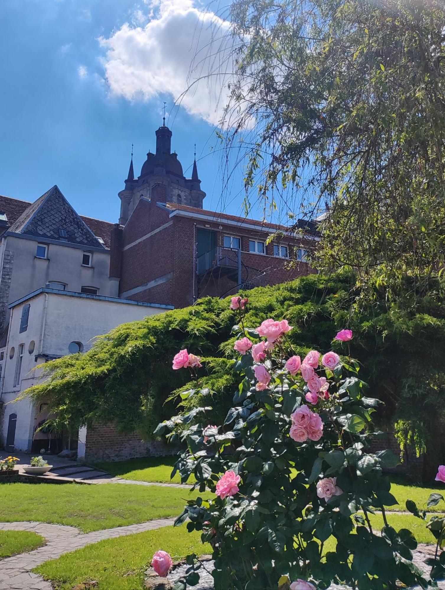 Le Relais Napoleon Panzió Avesnes-sur-Helpe Kültér fotó