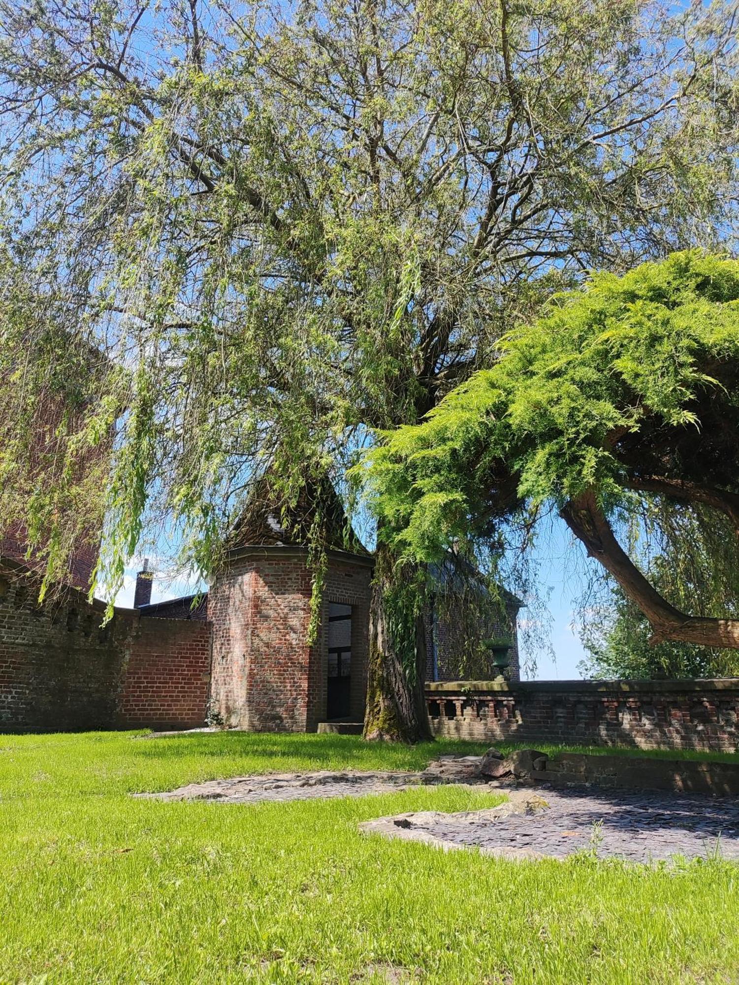 Le Relais Napoleon Panzió Avesnes-sur-Helpe Kültér fotó
